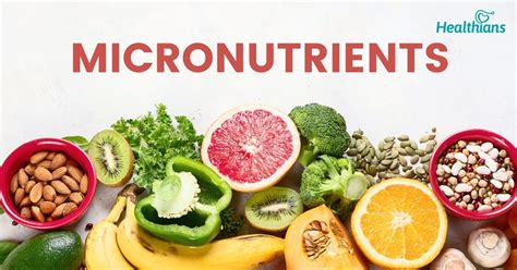 micronutrients definition food